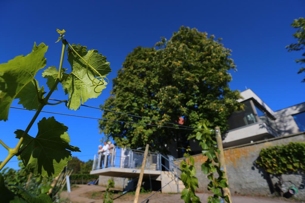 Vogelsburg Hotel Escherndorf Exterior foto