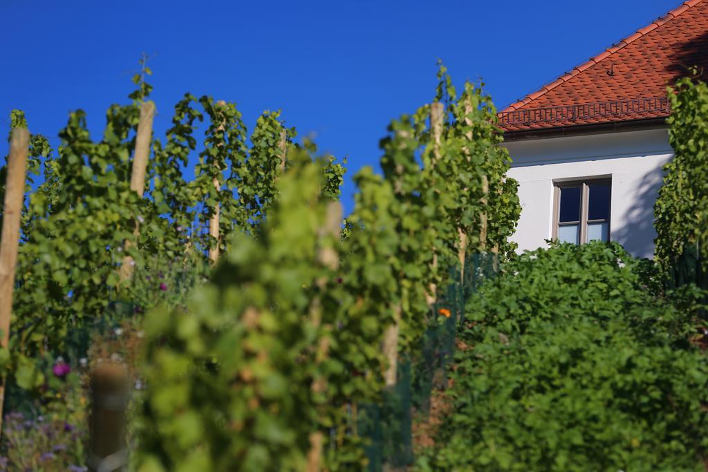 Vogelsburg Hotel Escherndorf Exterior foto